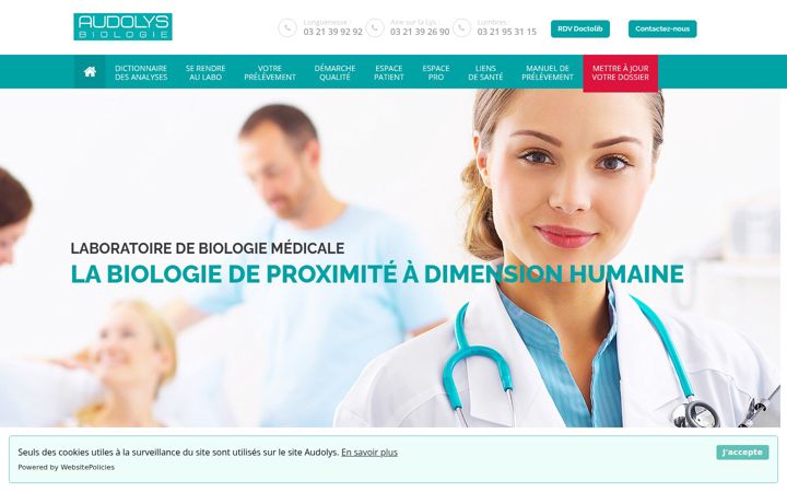 Screenshot of audolys.fr