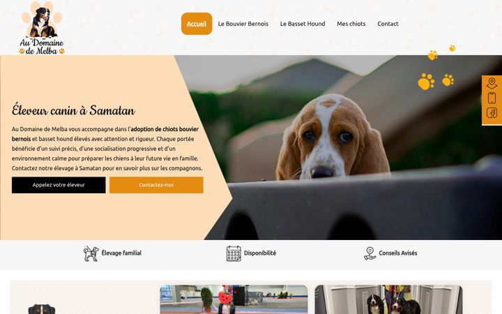 Screenshot of audomainedemelba.fr