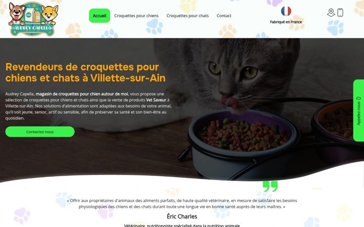 Screenshot of audrey-vetsaveur.fr