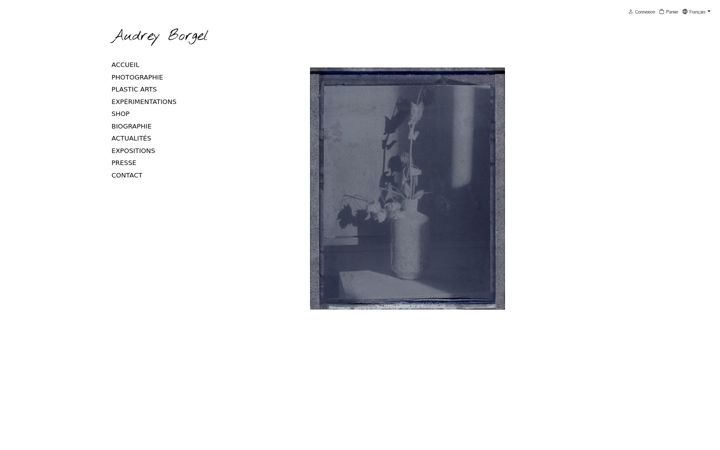 Screenshot of audreyborgel.com