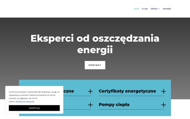 Screenshot of audyko.pl