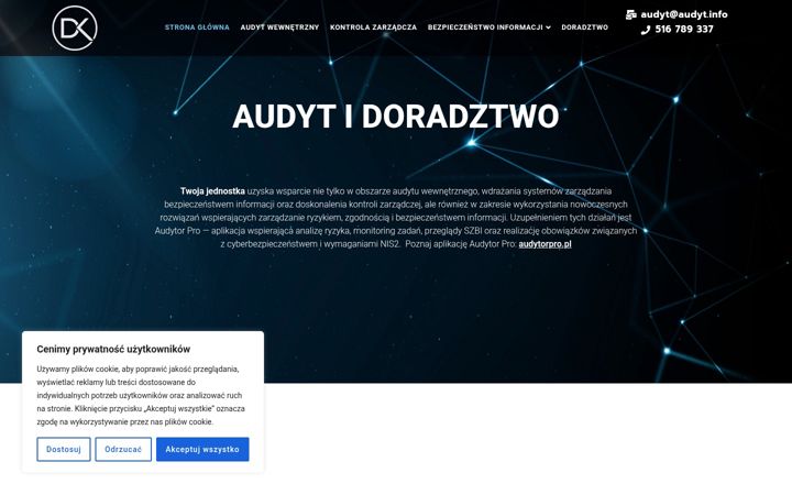 Snimka zaslona za audyt.info