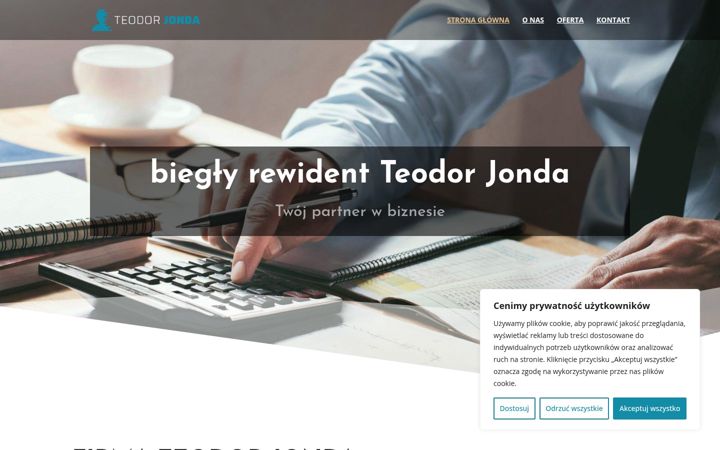Snimka zaslona za audytjonda.com.pl