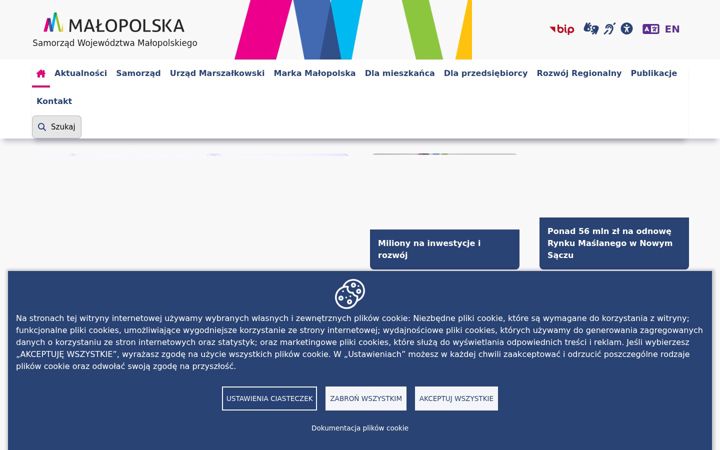 Snimka zaslona za audytkrajobrazowy.malopolska.pl