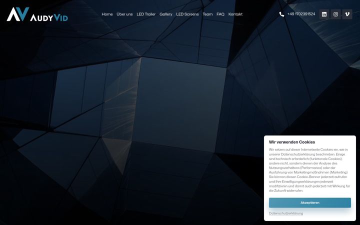 Screenshot of audyvid.com
