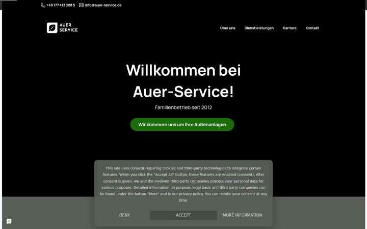 Snímek obrazovky auer-service.de