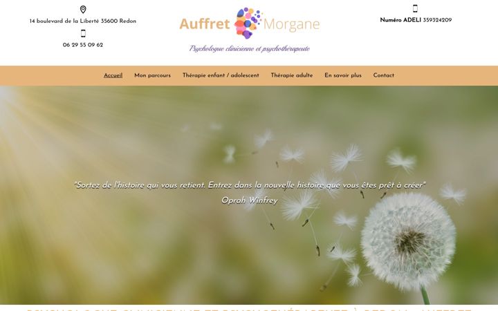 Screenshot of auffretmorgane.fr