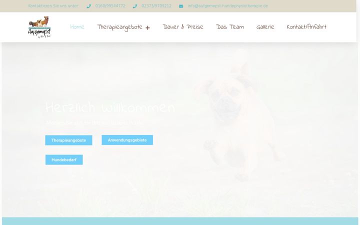 Screenshot di aufgemopst-hundephysiotherapie.de