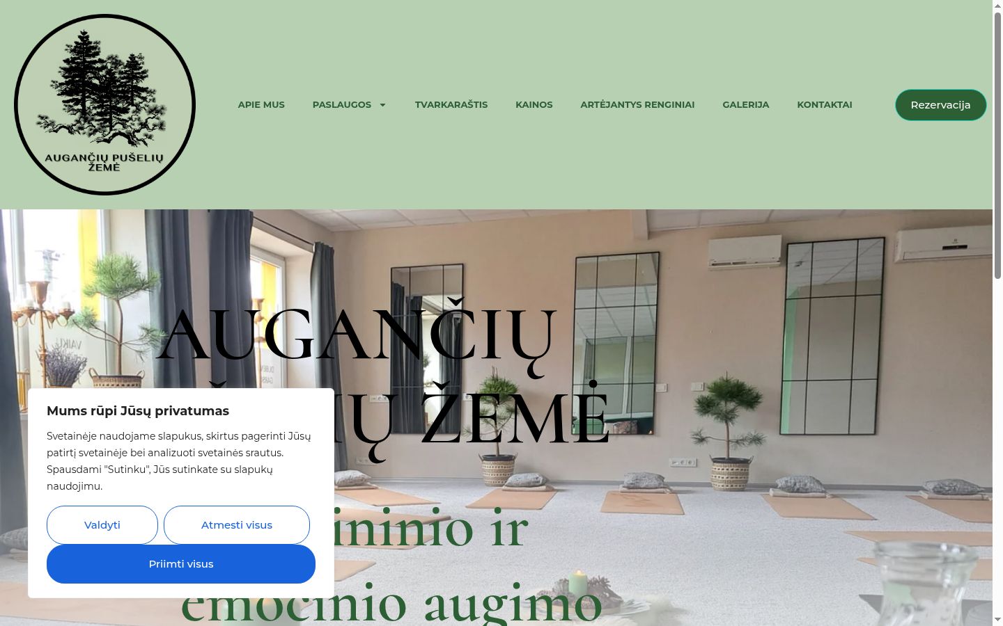 Screenshot of the consent banner shown before any interaction