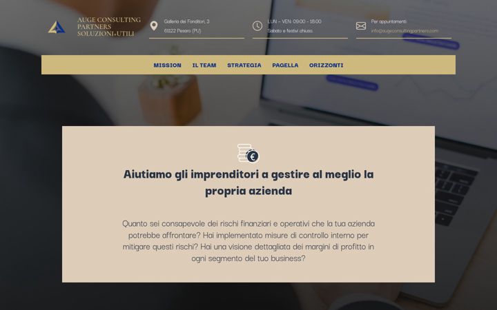 Screenshot of augeconsultingpartners.com