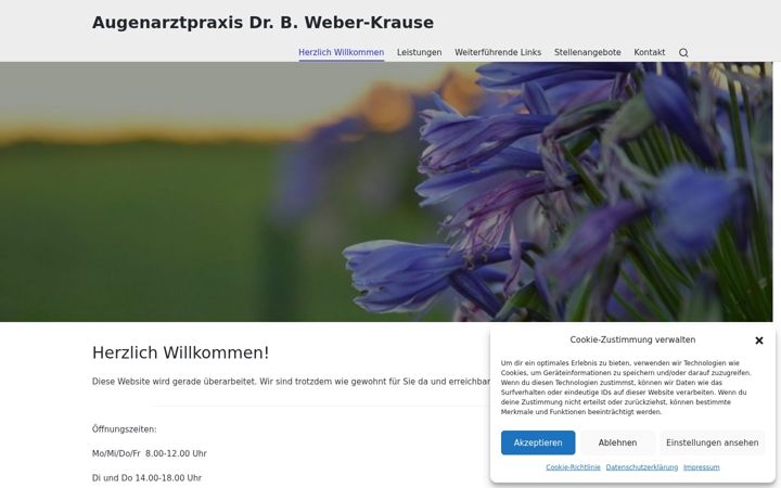 Kuvakaappaus sivustosta augen-nuernberg-land.de