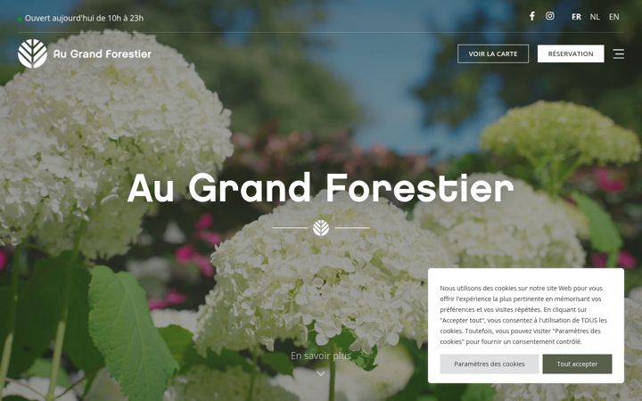 Screenshot of augrandforestier.be