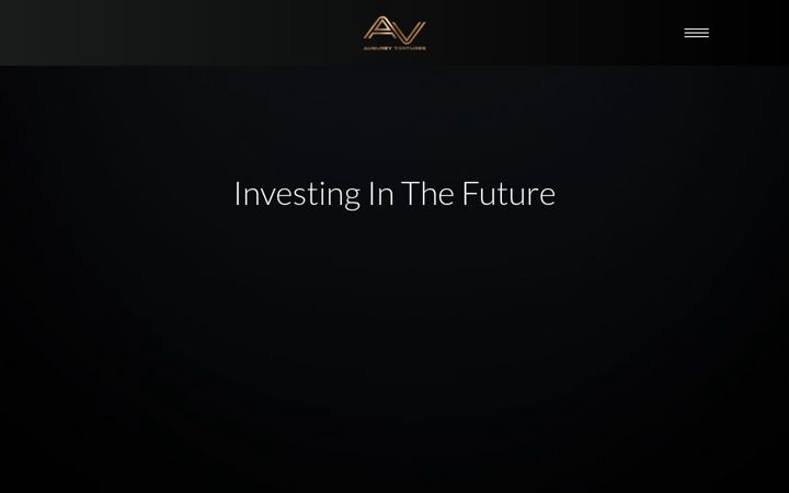 Screenshot of augureyventures.com