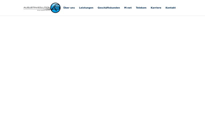 Screenshot of augustin-solution.de
