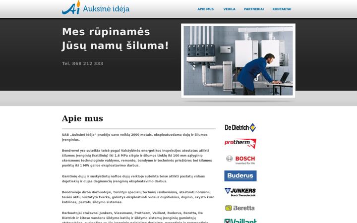Screenshot of auksineideja.lt