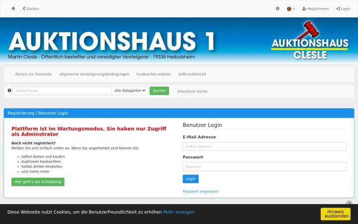 Screenshot stránky auktionshaus1.de