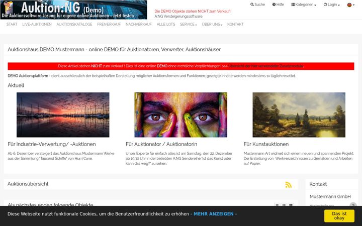 Screenshot of auktionskatalog24.de