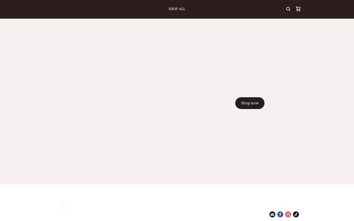 Screenshot of auntchellemadeit.square.site