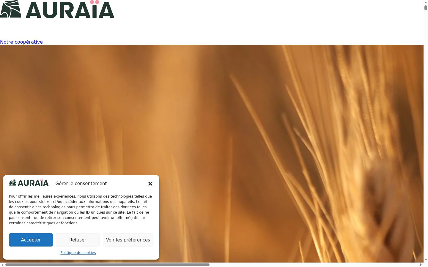 Screenshot des Einwilligungsbanners vor jeglicher Interaktion