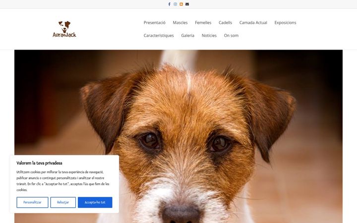 Screenshot of auranjack.cat