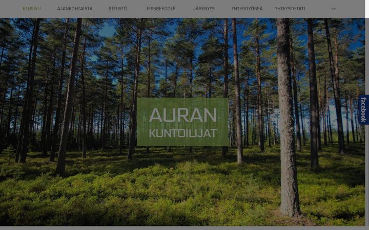 Screenshot of aurankuntoilijat.com