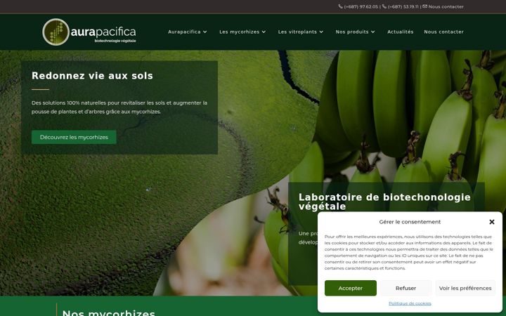 Screenshot του aurapacifica.com