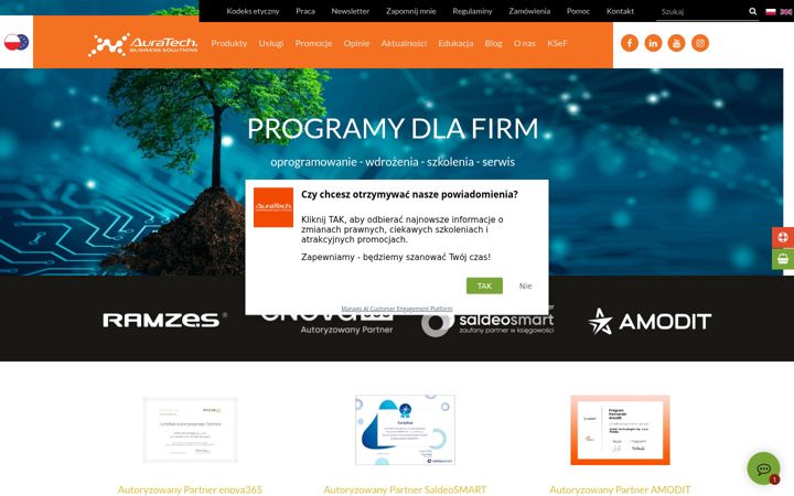 Screenshot of auratech.pl