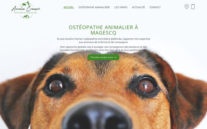 Screenshot of aureliacrameri-osteoanimalier.fr