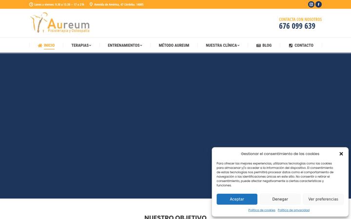 Screenshot of aureumfisioterapia.com