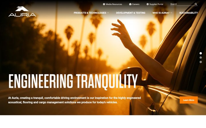 Screenshot of auriasolutions.com