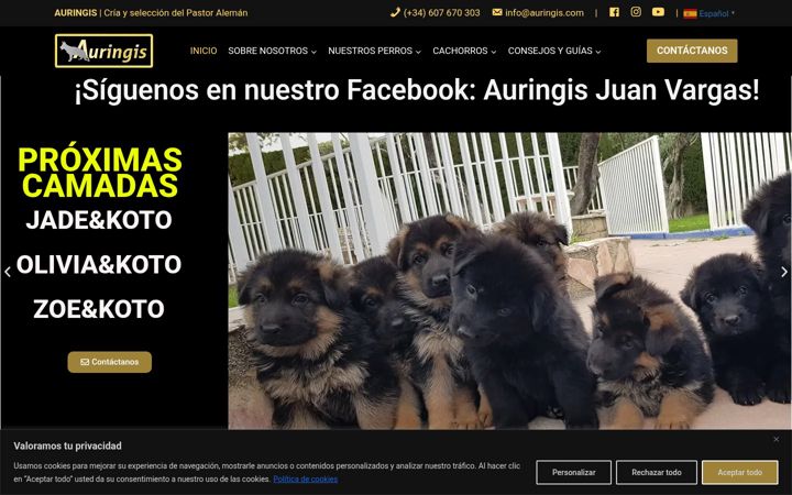 Screenshot von auringis.com