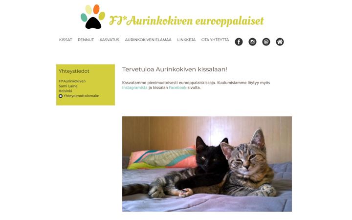 Captura de pantalla de aurinkokiven.fi