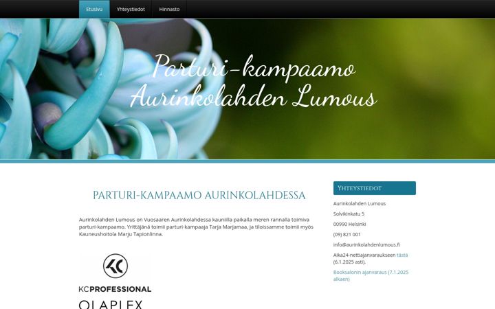Screenshot of aurinkolahdenlumous.fi