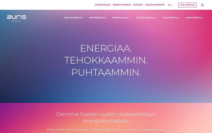 Screenshot of aurisenergia.fi
