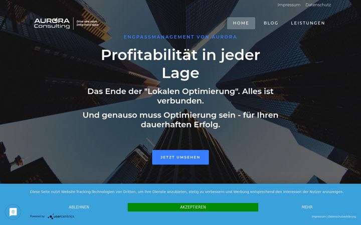 Screenshot of aurora-consulting.de