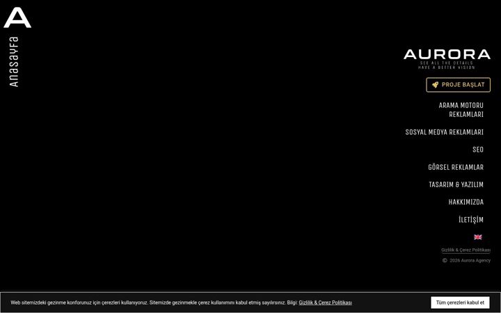 Screenshot of auroragency.com