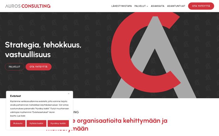 Screenshot of aurosconsulting.com