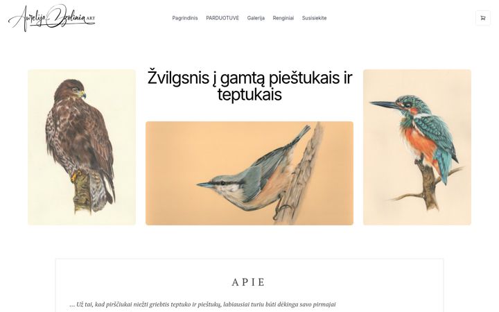 Screenshot of aurozo-art.lt