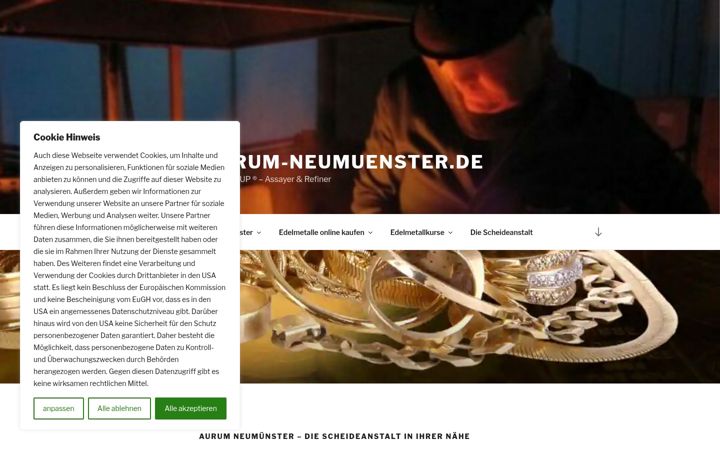 Screenshot of aurum-neumuenster.de