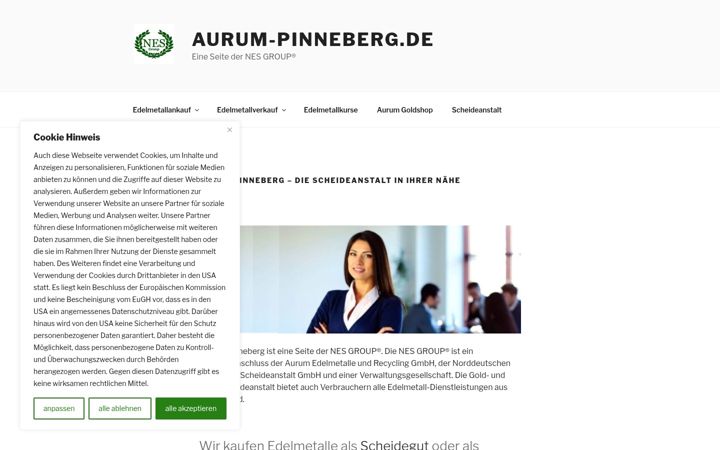 Screenshot of aurum-pinneberg.de