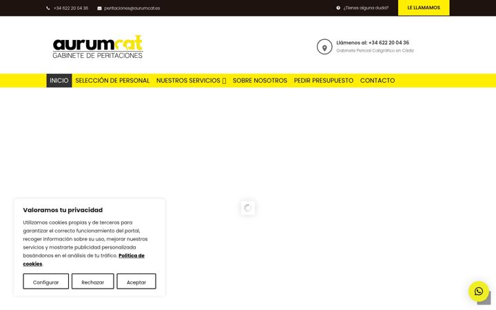 Screenshot of aurumcat.es