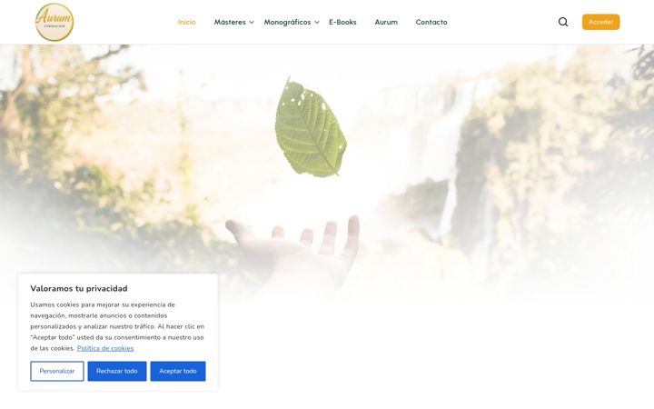 Screenshot von aurumformacion.es