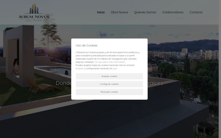 Screenshot of aurumnovusrealestate.com