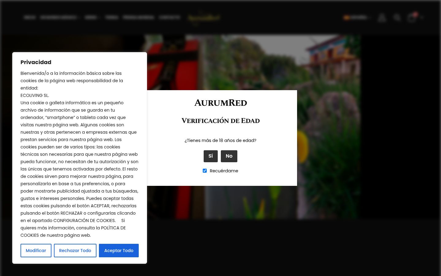 Capture d'écran de la bannière de consentement affichée avant toute interaction