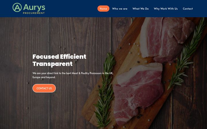 Screenshot of aurysprocurement.com
