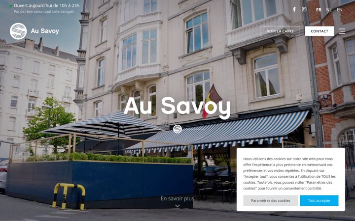 Screenshot of ausavoy.be