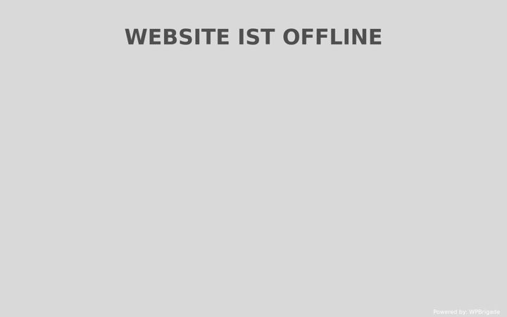 Screenshot von ausbeulservice-biyikli.de