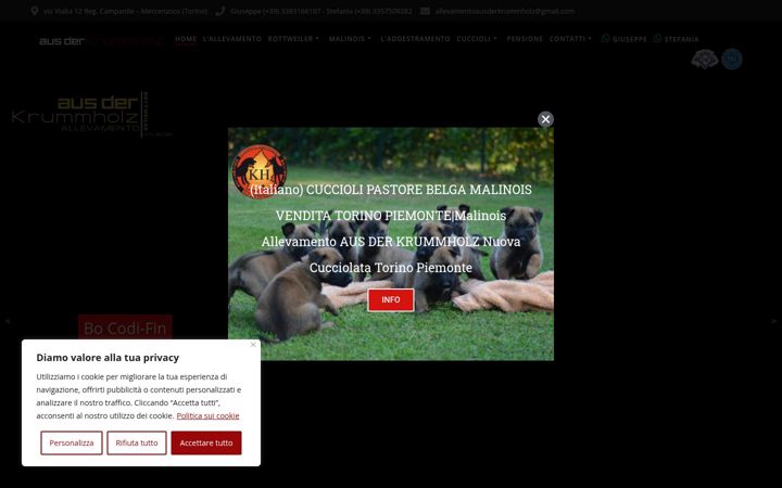 Ekrano kopija ausderkrummholz.com