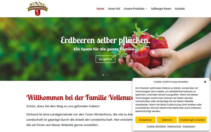 Screenshot of ausdinhard.ch
