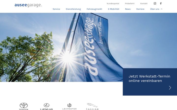 Screenshot of ausee.ch